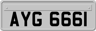 AYG6661
