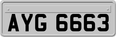 AYG6663
