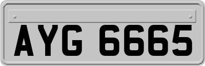 AYG6665