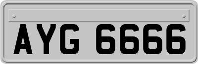 AYG6666