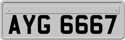AYG6667