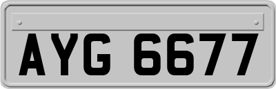 AYG6677