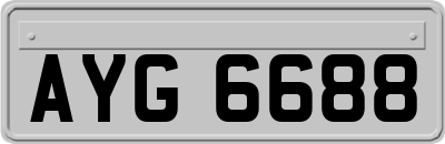 AYG6688