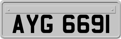 AYG6691