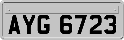 AYG6723