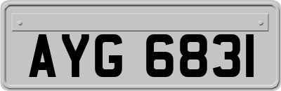 AYG6831
