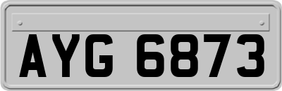 AYG6873