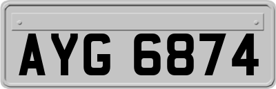 AYG6874