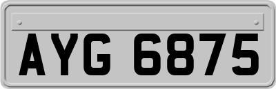 AYG6875