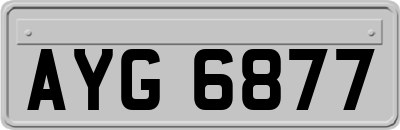 AYG6877