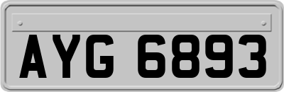 AYG6893