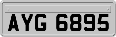 AYG6895
