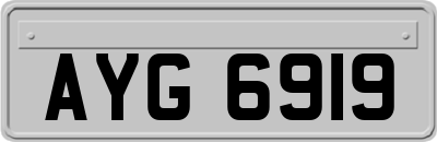 AYG6919