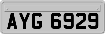 AYG6929