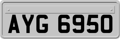 AYG6950