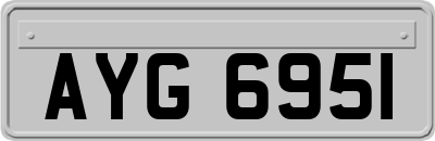 AYG6951