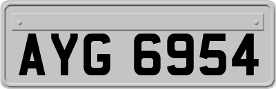 AYG6954