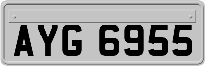AYG6955