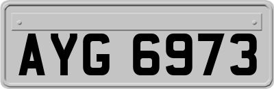 AYG6973