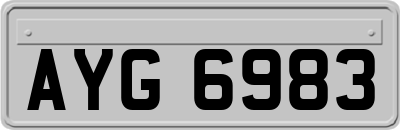 AYG6983