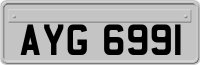 AYG6991
