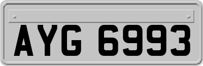 AYG6993