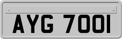 AYG7001