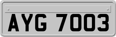 AYG7003