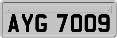 AYG7009
