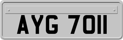 AYG7011