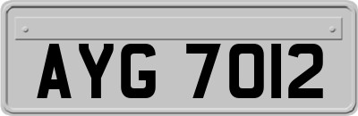 AYG7012