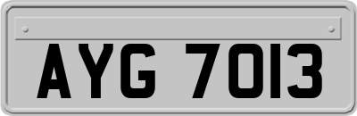 AYG7013