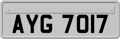 AYG7017