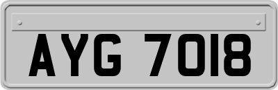 AYG7018