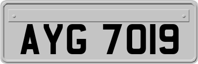 AYG7019