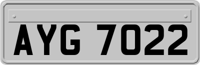 AYG7022
