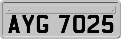 AYG7025