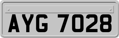 AYG7028