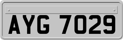 AYG7029