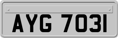 AYG7031