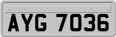 AYG7036