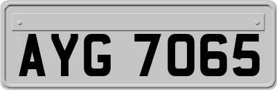 AYG7065