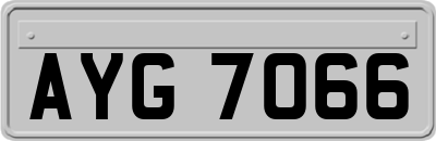 AYG7066