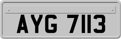 AYG7113