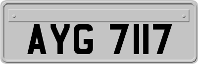 AYG7117