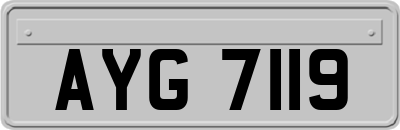 AYG7119