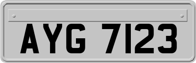 AYG7123