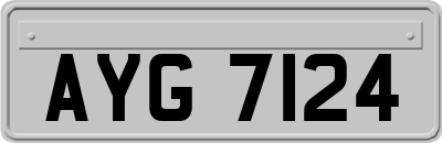 AYG7124