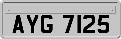 AYG7125