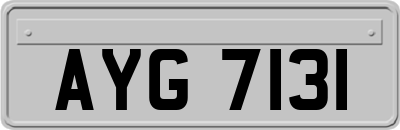 AYG7131